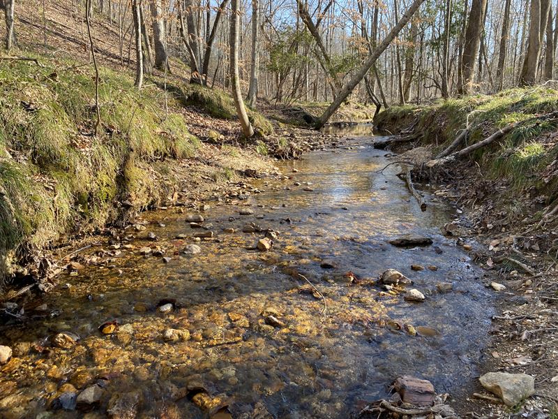 Hunting Land in TN with Creek : Savannah : Hardin County : Tennessee