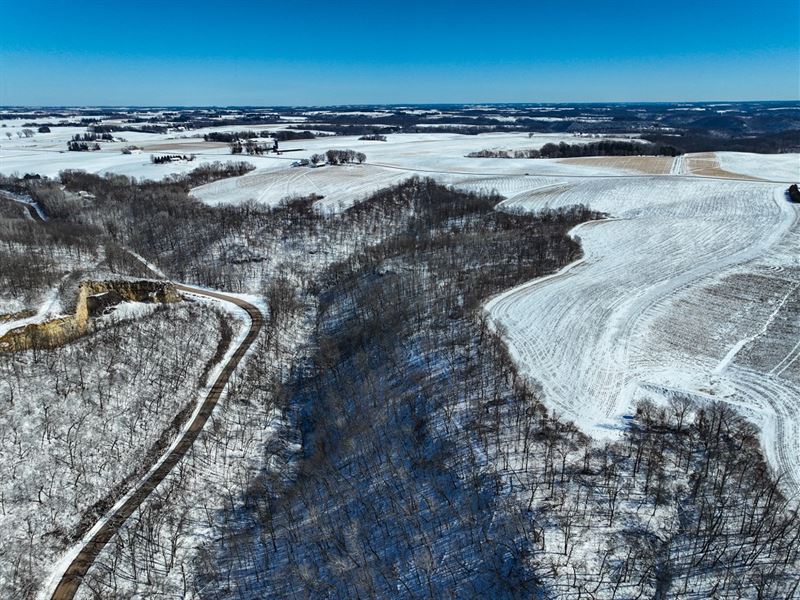 55 Acres Pepin County, WI : Stockholm : Pepin County : Wisconsin