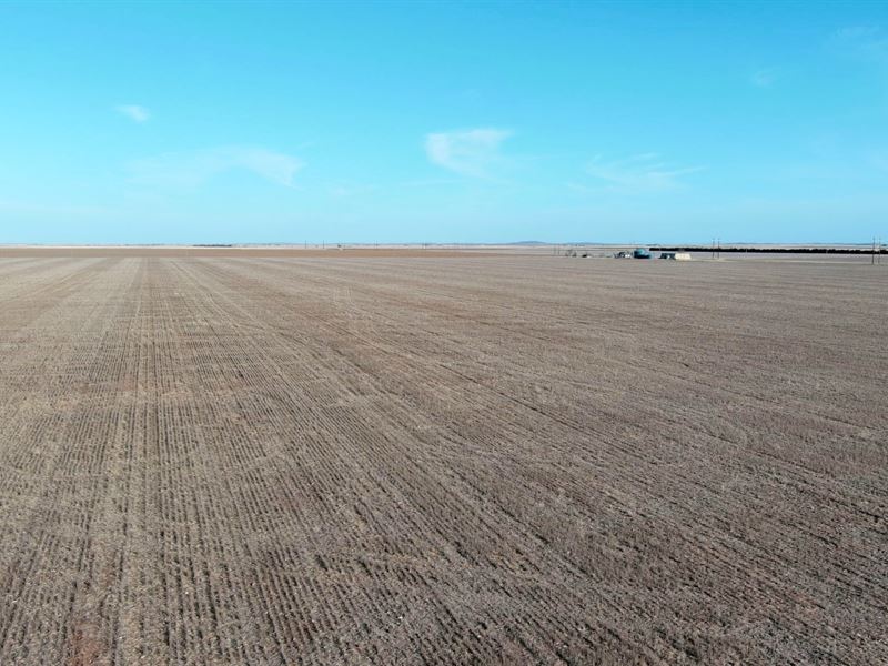 Otto Lueking Jr Estate Land Auction : Yuma : Yuma County : Colorado