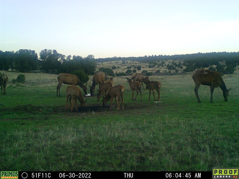 Million Dollar Location : Datil : Catron County : New Mexico