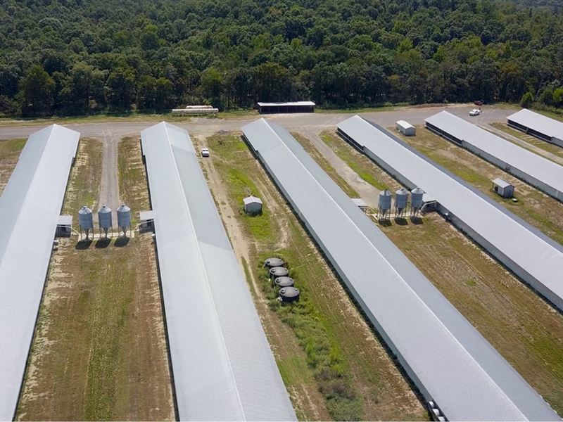 8 House Broiler Farm with 39 Acres : Mena : Polk County : Arkansas