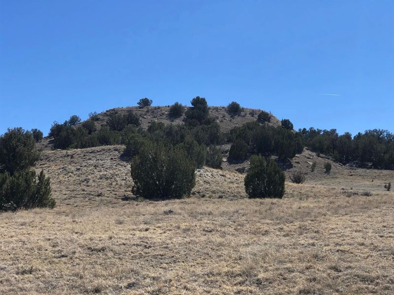 Lot 10 Longhorn Ranch, Model, Co 81 : Model : Las Animas County : Colorado