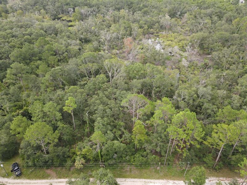 2.57 Acres Kays Road : Perry : Taylor County : Florida