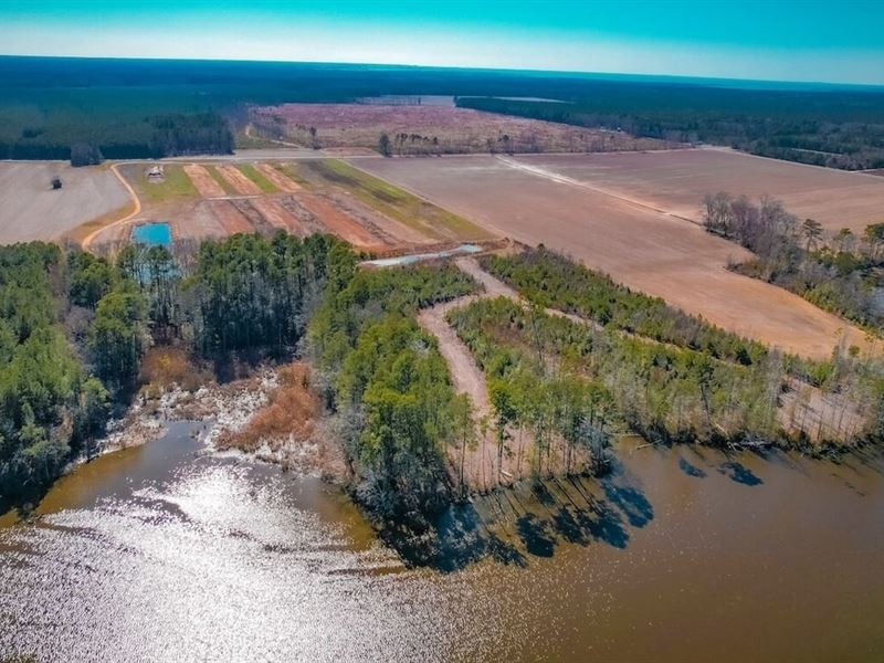 76.19 Acres Of Waterfront Agricultu : Temperanceville : Accomack County : Virginia