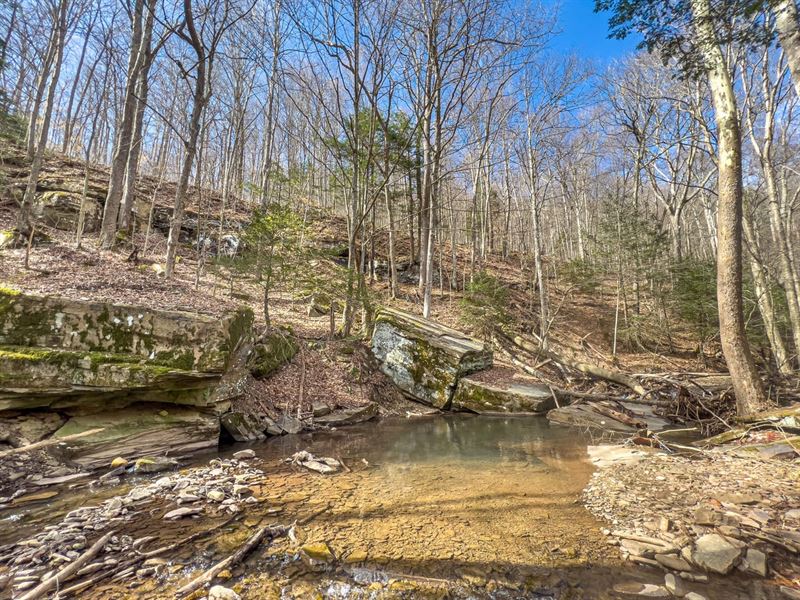 Chenoweth Creek Rd, 90 Acres, Ran : Elkins : Randolph County : West Virginia