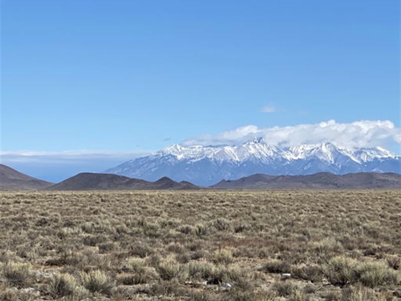 5 Private Acres of CO Freedom-$125 : San Luis : Costilla County : Colorado