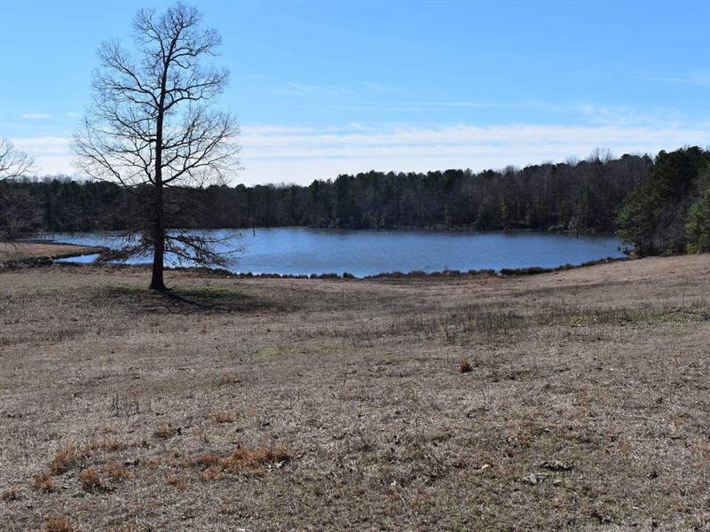 Esquire Development 4 : Mabelvale : Saline County : Arkansas