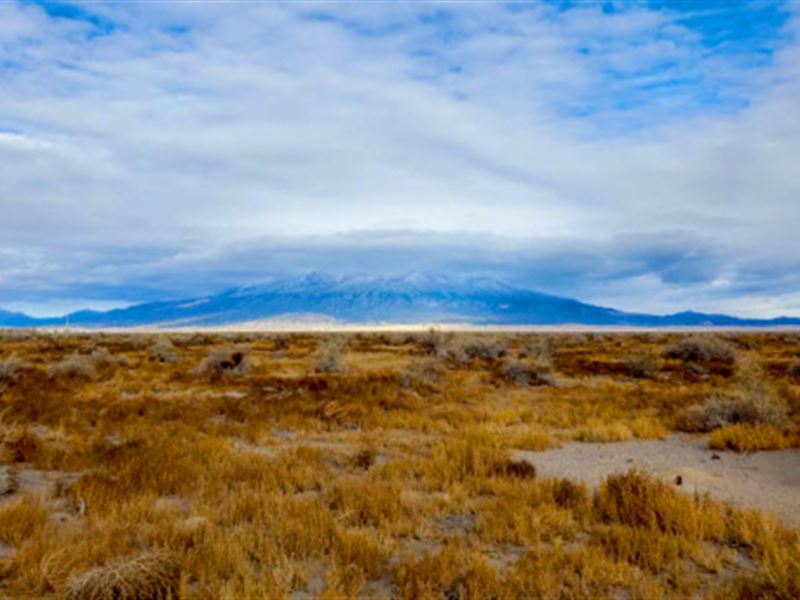 Build or Invest, Alamosa, CO : Alamosa : Alamosa County : Colorado