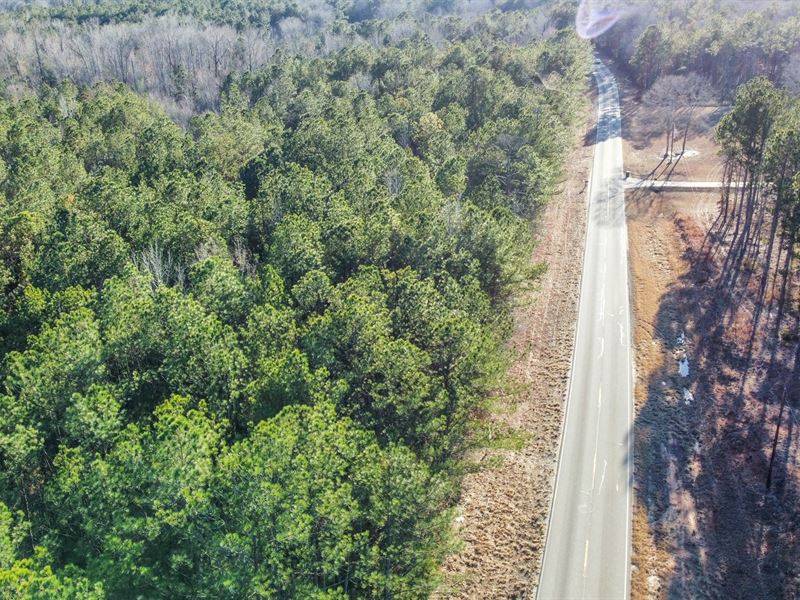 12 Acres on Judge Brown Rd, Near : Cusseta : Chambers County : Alabama