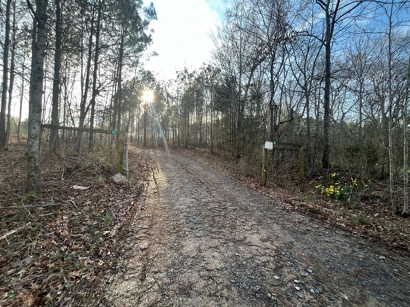 Rodgers Road Tract +/- 44 Acres : Adairsville : Gordon County : Georgia