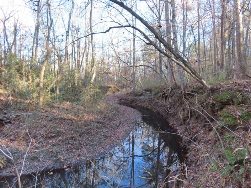 White Oak Retreat : White Oak : Fairfield County : South Carolina