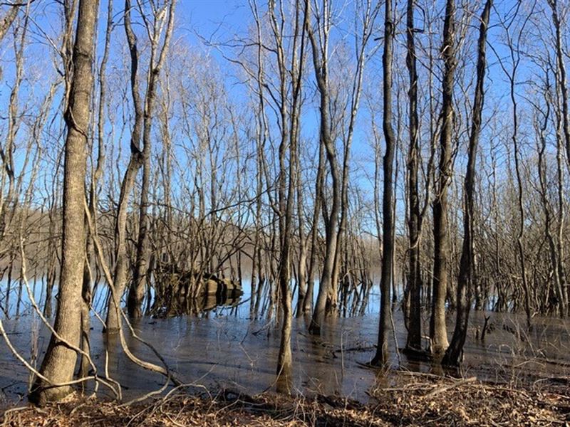 French Fork Tract, Lasalle Parish : Jena : Lasalle Parish : Louisiana