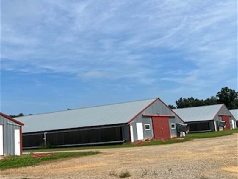 Upgraded 5 House Poultry Farm : Cochran : Bleckley County : Georgia