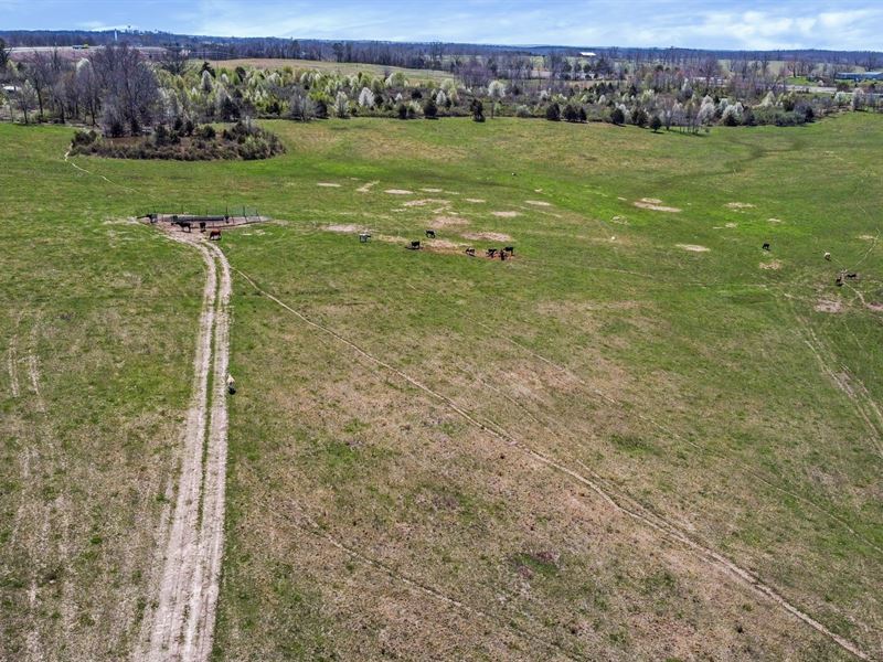 Development, Farming or Investment : West Plains : Howell County : Missouri