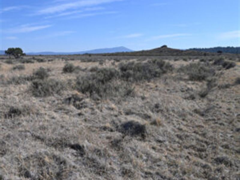 1.54 Acres in Klamath County, OR : Chiloquin : Klamath County : Oregon