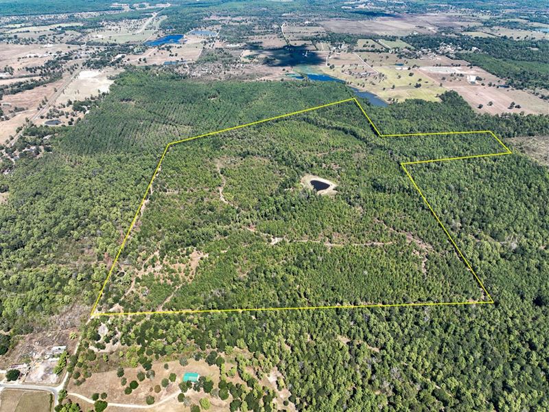 164 Acres, Murray Lane : Huntsville : Walker County : Texas