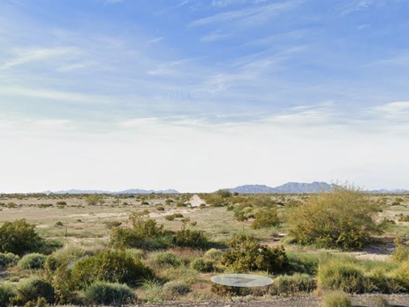 Escape to Tranquil Desert Living : Tacna : Yuma County : Arizona