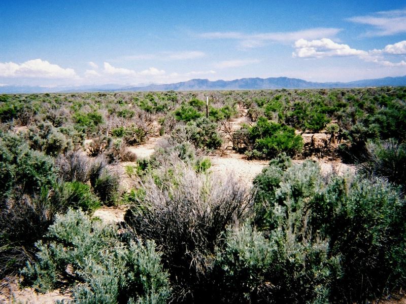 .08 Acre in Iron County, UT : Beryl : Iron County : Utah