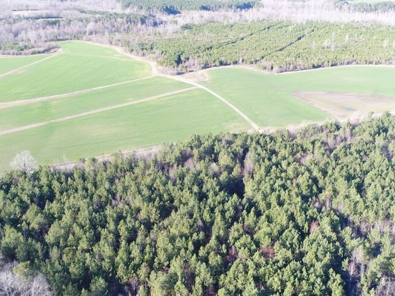 204 Acres of Cropland, Timberland : Walstonburg : Greene County : North Carolina