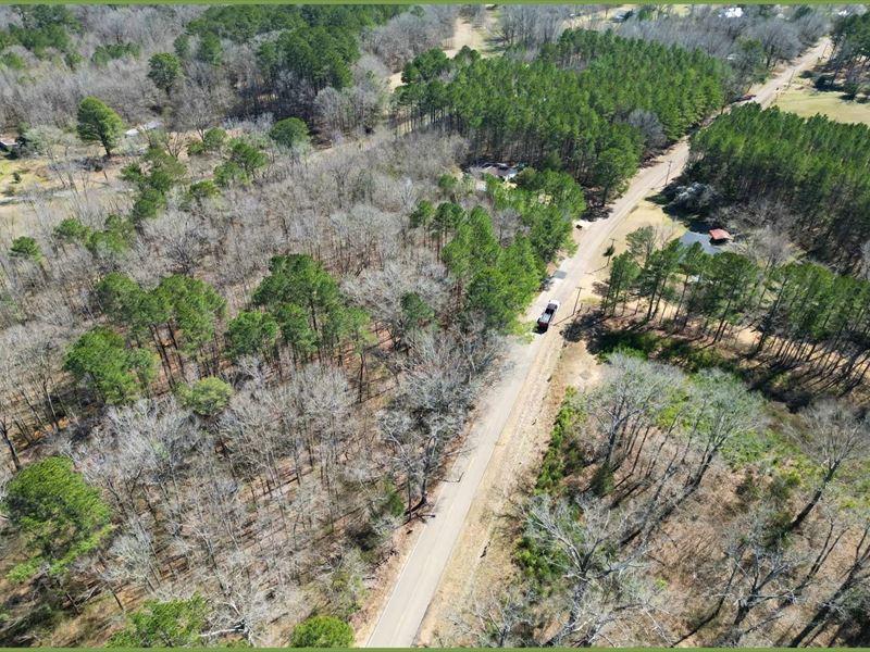 5.4 Acres in Oktibbeha County in St : Sturgis : Oktibbeha County : Mississippi