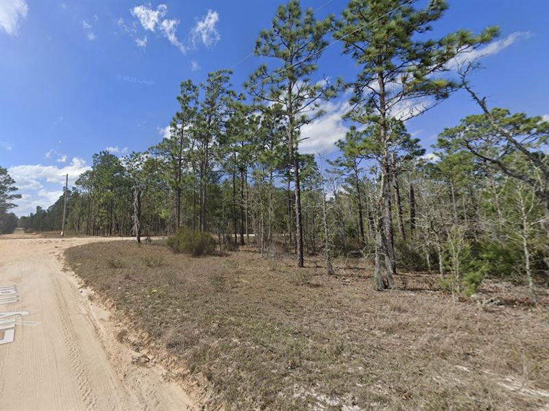 .26 Ac in Interlachen, $199/Mo : Interlachen : Putnam County : Florida