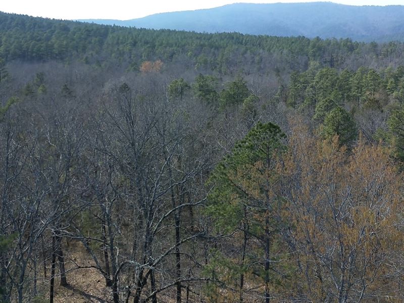 67.5 Acres in National Forest : Waldron : Scott County : Arkansas