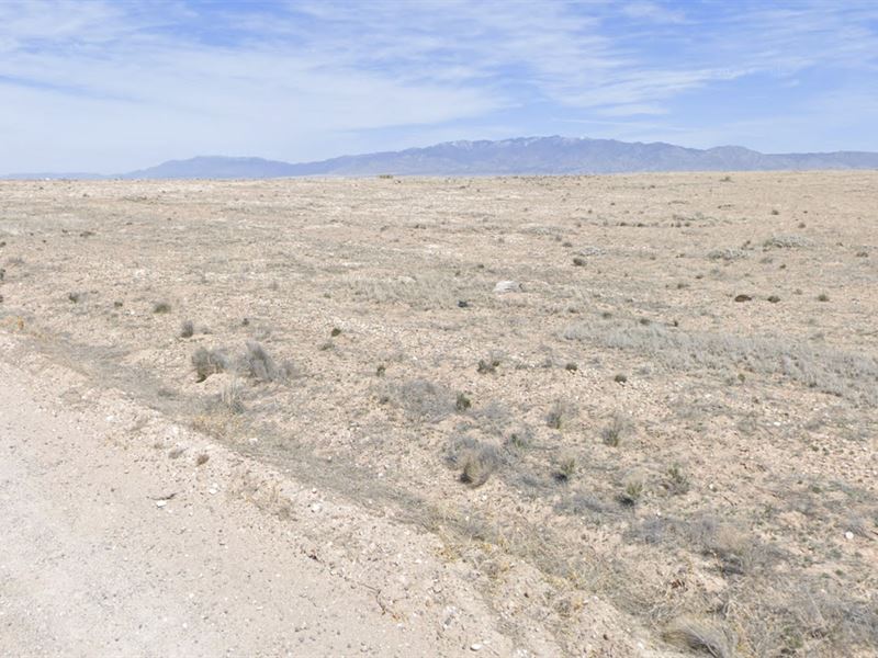 Corner Lot, Clean Spot, Quick Shot : Bodega : Valencia County : New Mexico