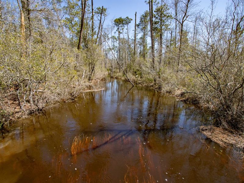 4 Ac Homesite with Big Creek Near : Blountstown : Calhoun County : Florida