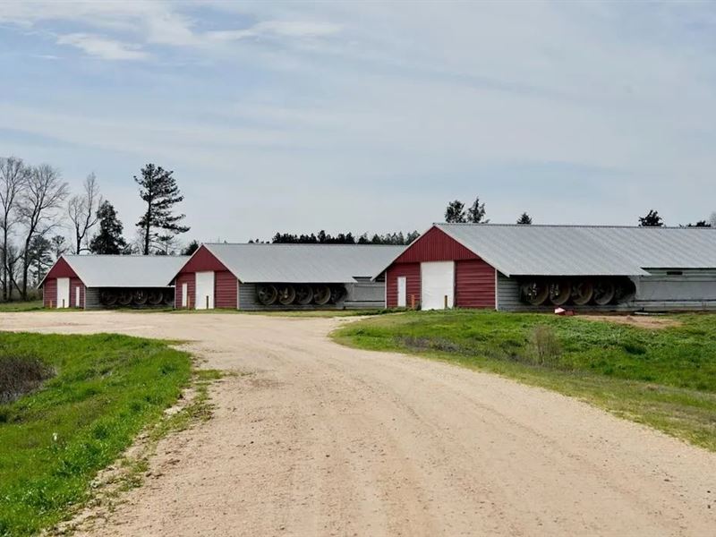 Turnkey 2017 Poultry Breeder Farm : Prentiss : Jefferson Davis County : Mississippi