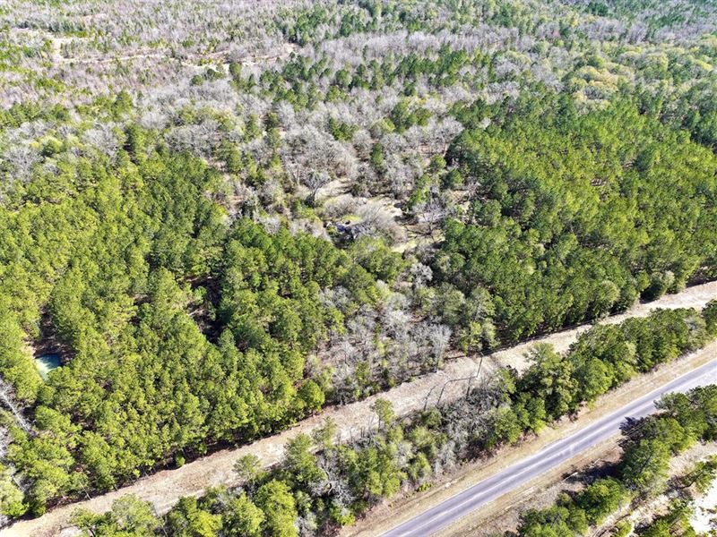 Beautiful Homesite and Hunting : Irwinton : Wilkinson County : Georgia