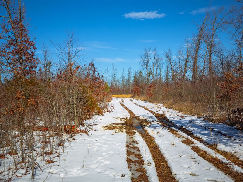 $999 Down 10.26 Acres Texas County : Hartshorn : Texas County : Missouri