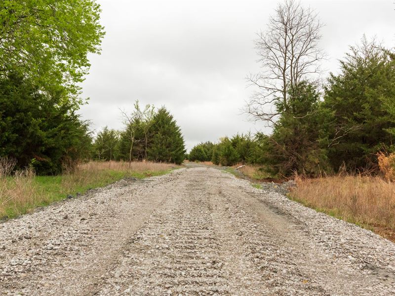 $999 Down with Electric, Won't Last : Bearden : Okfuskee County : Oklahoma