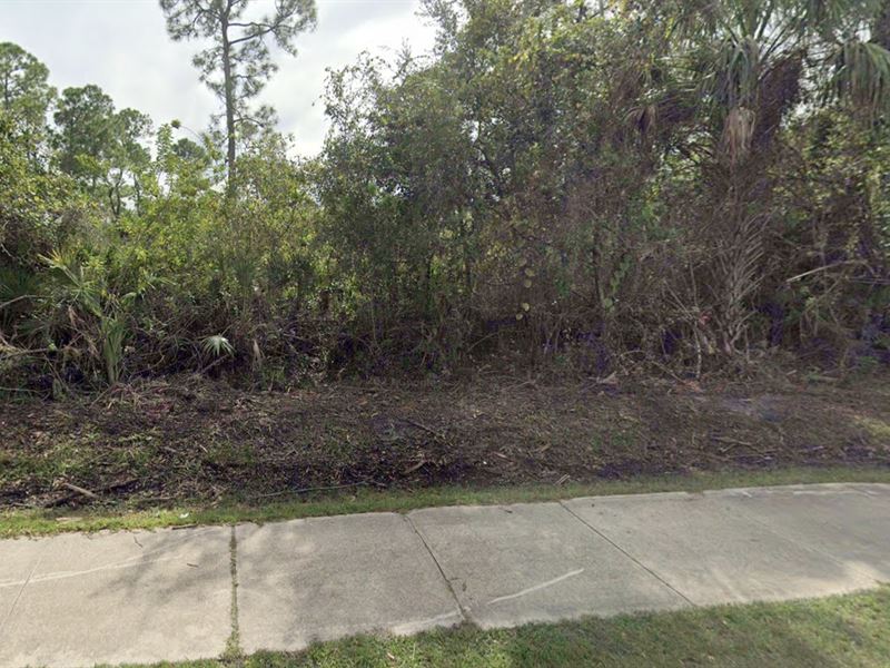 Secure This Secret Wooded Lot for O : Punta Gorda : Charlotte County : Florida