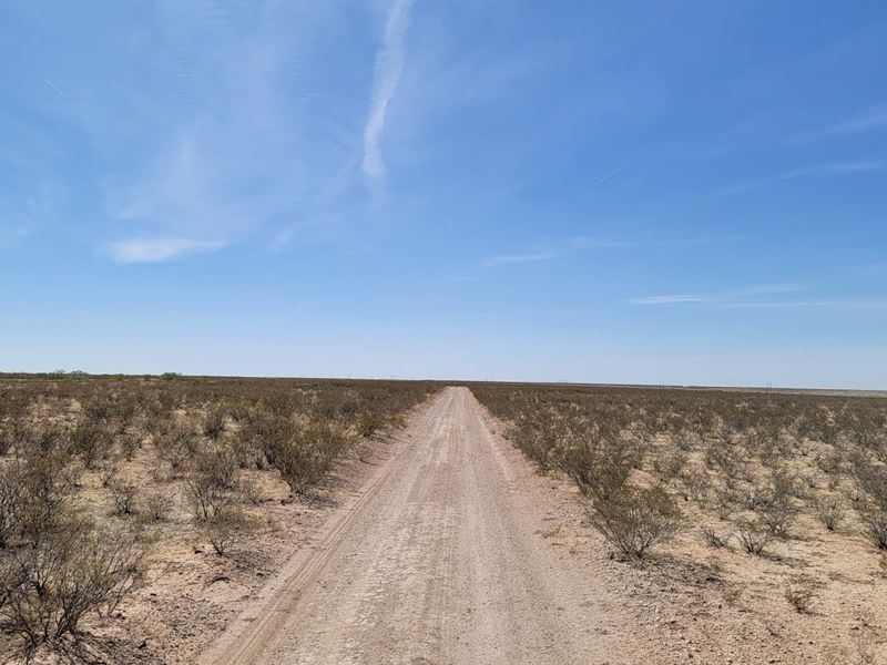 40.05 Acres Near Fort Hancock, TX : Fort Hancock : Hudspeth County : Texas