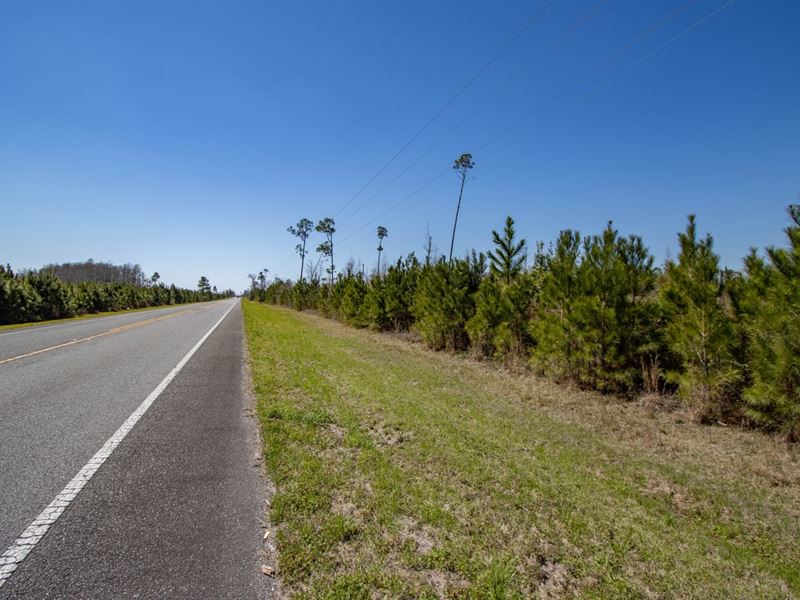 5.6 Ac Homesite on Hwy 71 South : Blountstown : Calhoun County : Florida