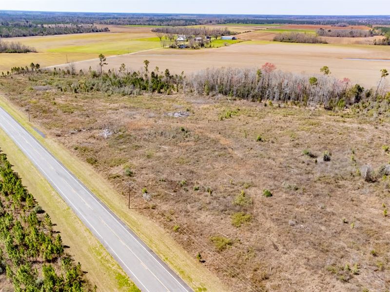 29 Ac Mini-Farm Homesite with Highw : Blountstown : Calhoun County : Florida