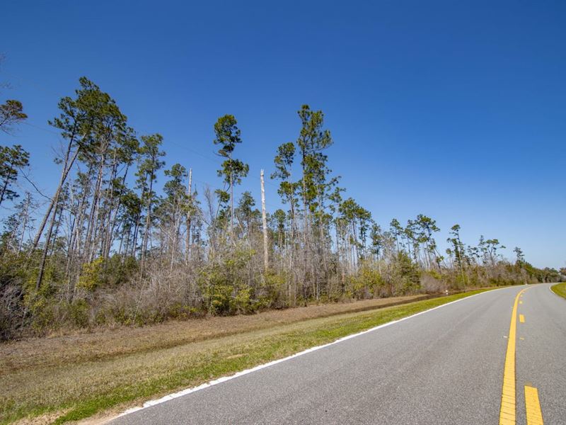 4.8 Ac Homesite Near Blountstown FL : Blountstown : Calhoun County : Florida