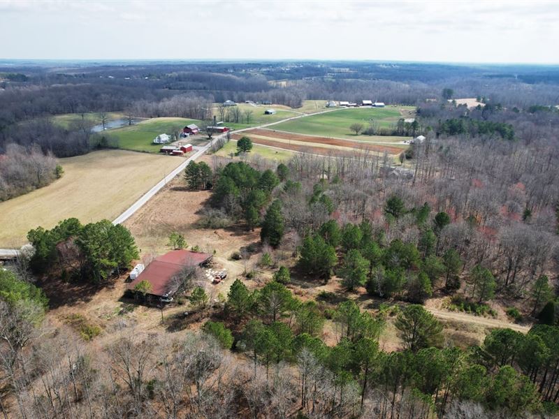 66 Acre Mint Springs Road Farm : Ethridge : Lawrence County : Tennessee