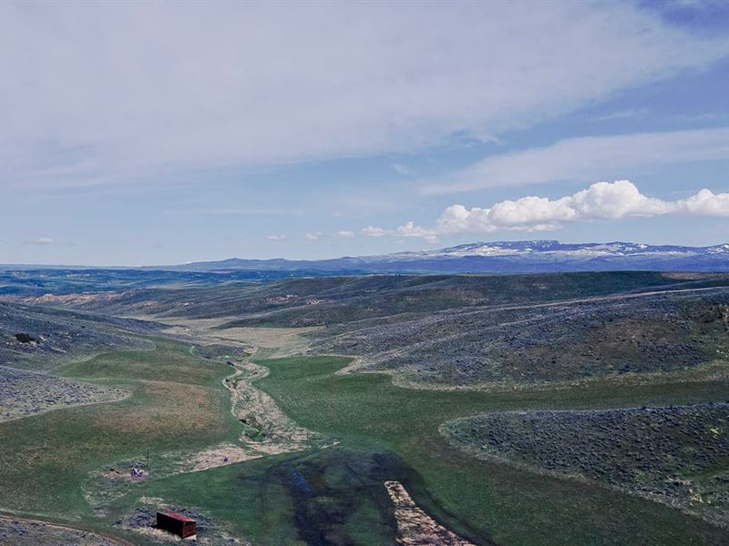 Bucks and Bales Ranch : Hayden : Routt County : Colorado