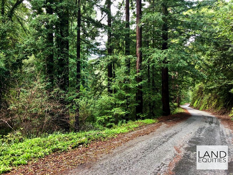 Secluded Redwood Forest Paradise : Felton : Santa Cruz County : California