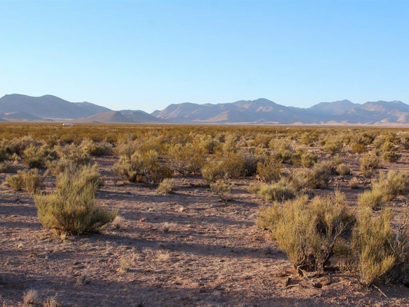 Willow Springs 300 AC Recreational : Magdalena : Socorro County : New Mexico