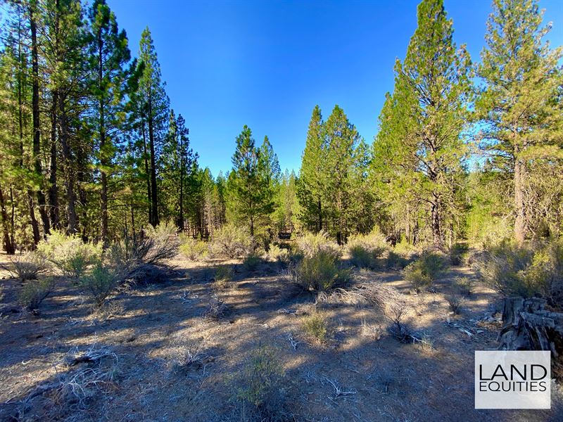 Trees, Power & Private River Access : Chiloquin : Klamath County : Oregon