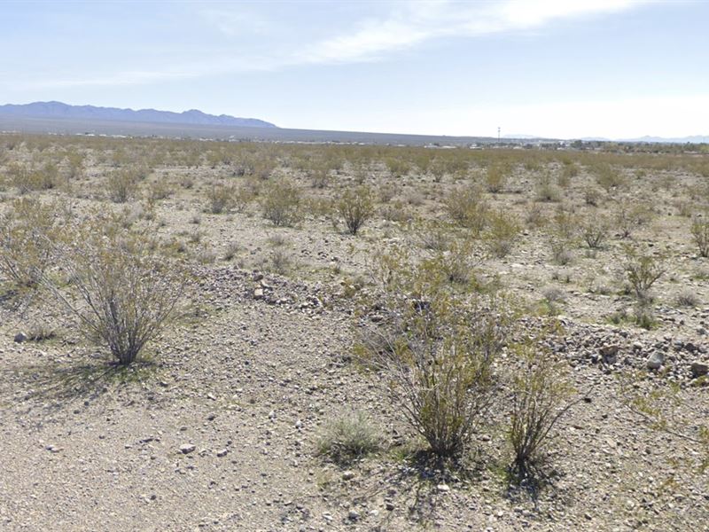 Vegas Nearby, Mountains Closer : Pahrump : Nye County : Nevada