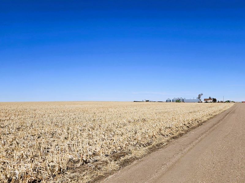 Frerichs Dryland : Gurley : Cheyenne County : Nebraska