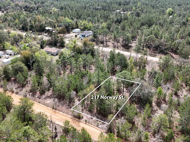 Own Land in Interlachen, FL : Gainesville : Putnam County : Florida