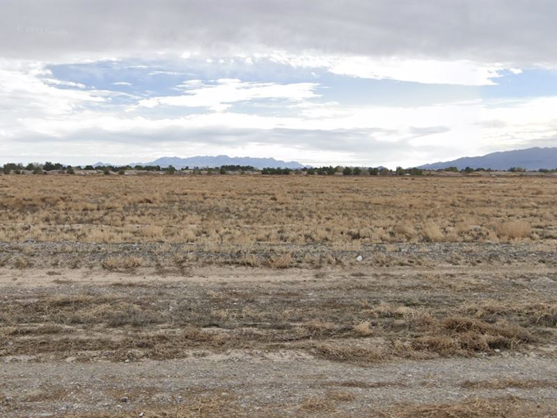 Buy This Land, Vegas Next Door : Pahrump : Nye County : Nevada