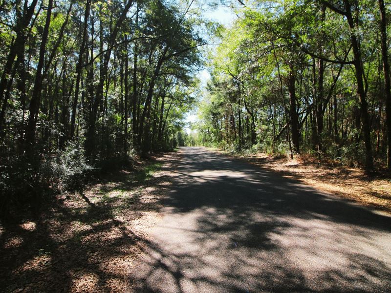 .52 Acres in Milton, Public Water : Milton : Santa Rosa County : Florida