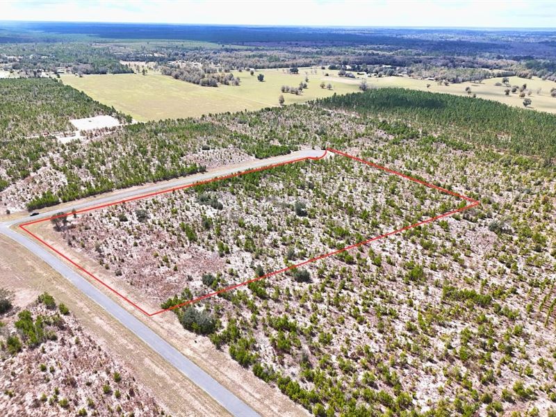 10.01 Acres Near The Apalachicola : Bristol : Liberty County : Florida