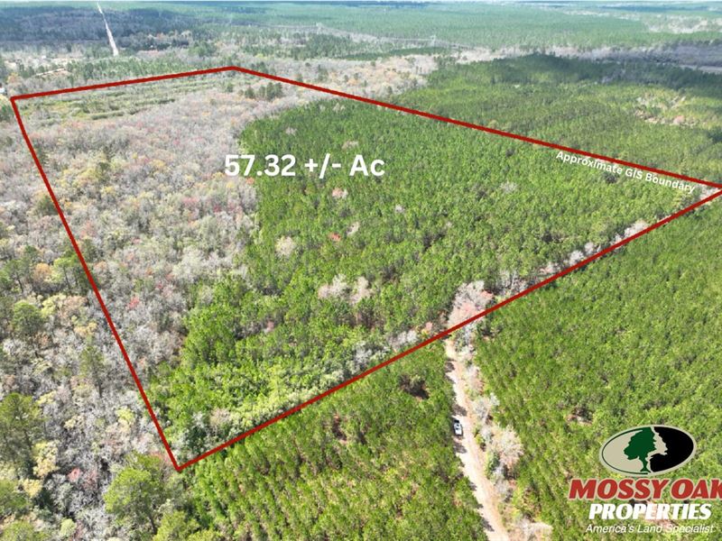 57 Acres Recreational Land : Hoboken : Brantley County : Georgia