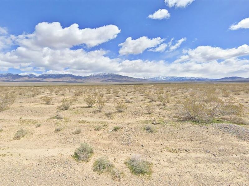 Land with Easy Access, $465.40 Down : Pahrump : Nye County : Nevada